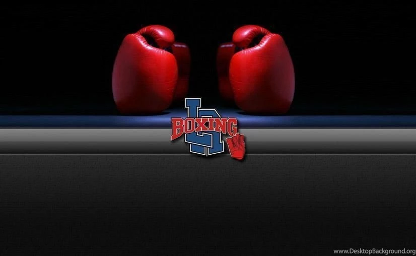 Background gloves1 From LA Boxing Gym, Columbia MD In Columbia, MD ...