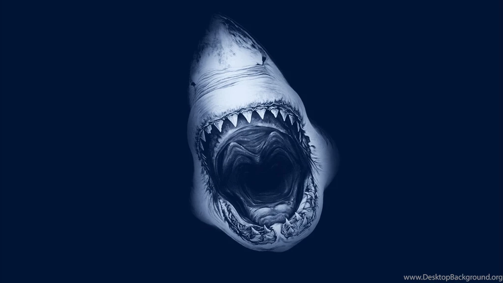Shark Wallpapers HD For Smartphone 41990 Full HD Wallpapers Desktop ...