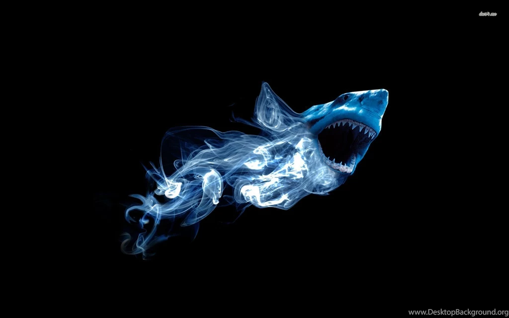 Shark Wallpapers 3208 Wallpapers Widescreen Wallnos.com