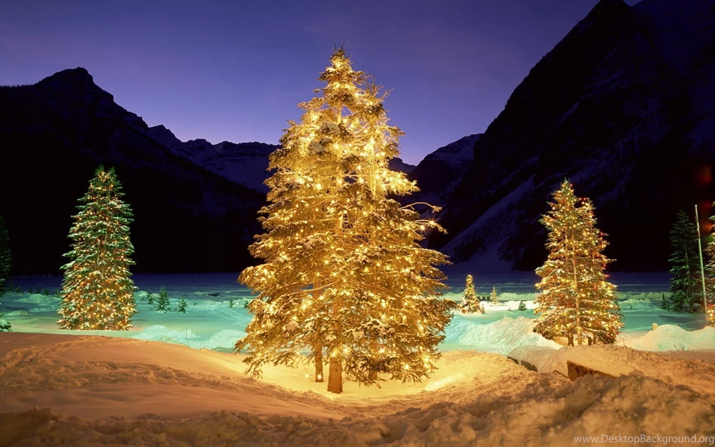 Christmas Trees In The Night Wallpapers 27737