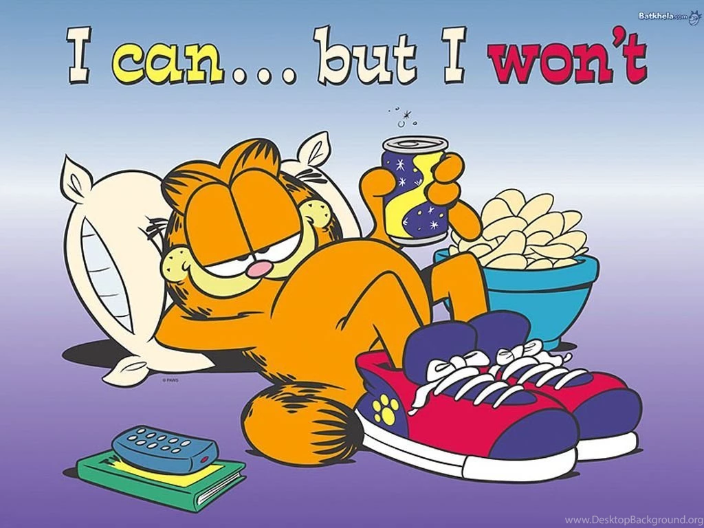 I Can But I Won't   Garfield Wallpapers (262532)   Fanpop
