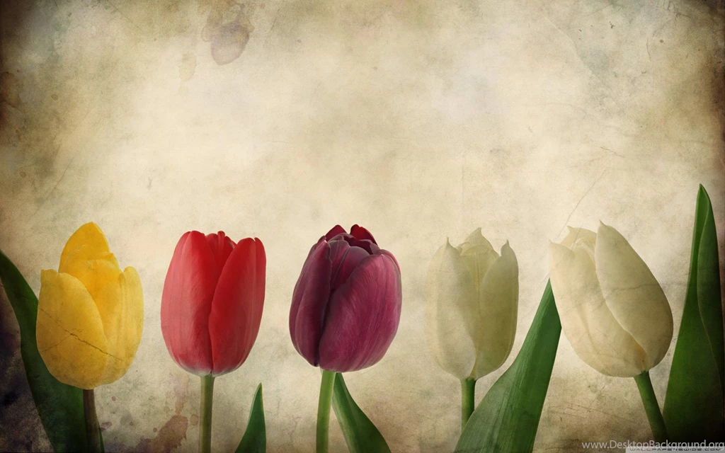 Vintage View Hd Wallpapers