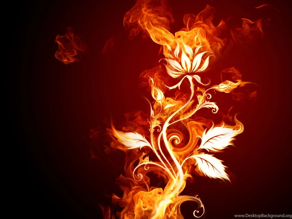 Fire Flowers Wallpapers HD Pictures
