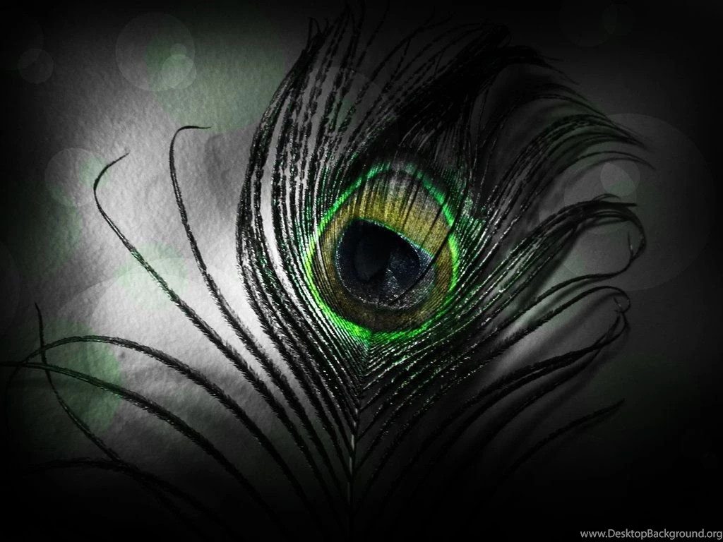 Peacock Feather By Oubra On DeviantArt