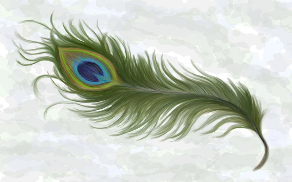 Free Peacock Feather Wallpapers Full HD