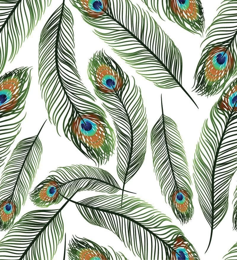 Print A Wall Paper Peacock Feathers PVC Free Wallpapers By Print A ...