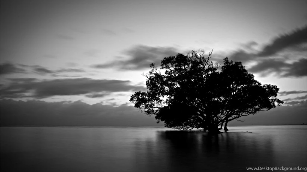Cool Black And White Wallpapers Resolution 1920x1080 Desktop ...