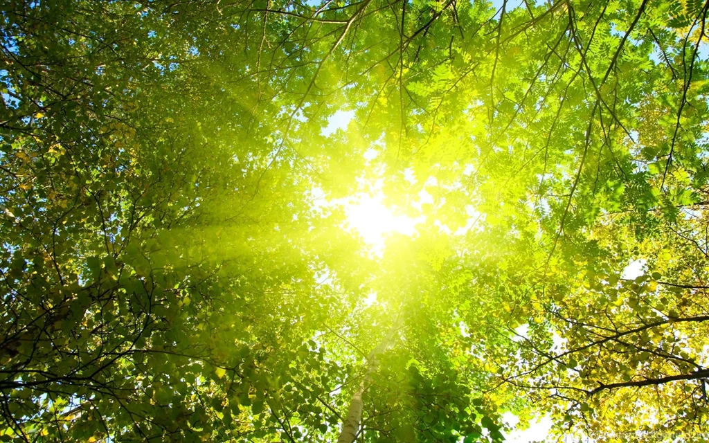 Sunshine Wallpapers 2415 HDWPro