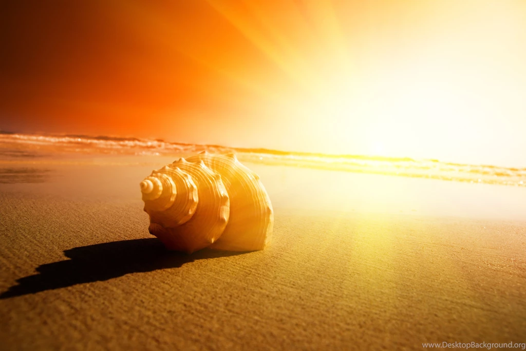 Download Sunshine Wallpapers Widescreen