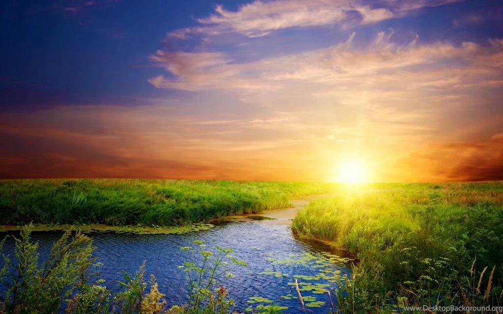 Sunshine Wallpaper Images