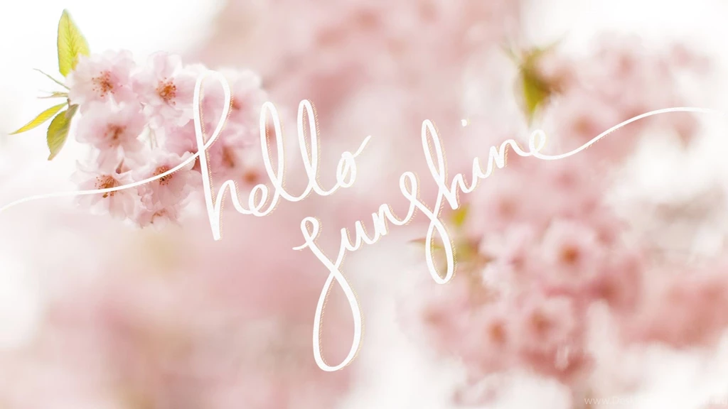 Hello Sunshine! A Free Cherry Blossom Desktop Wallpapers