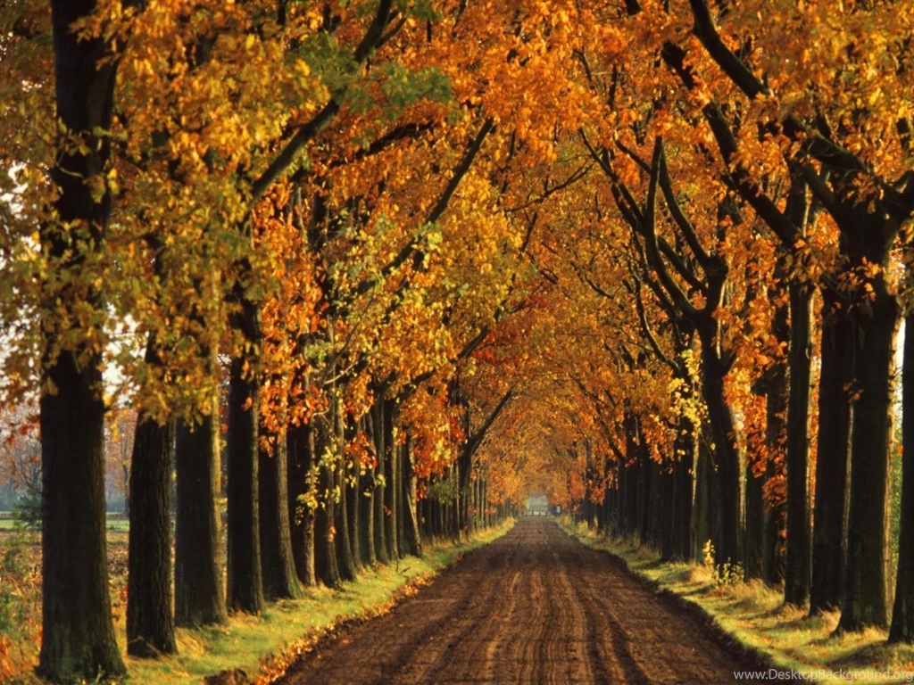 Free Autumn Desktop Wallpaper Backgrounds