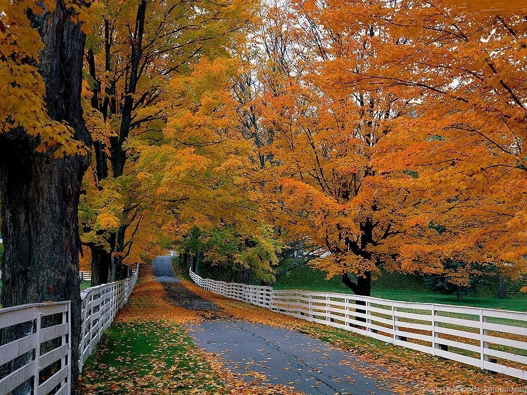 Colors Of New England Autumn Free Desktop Backgrounds Free
