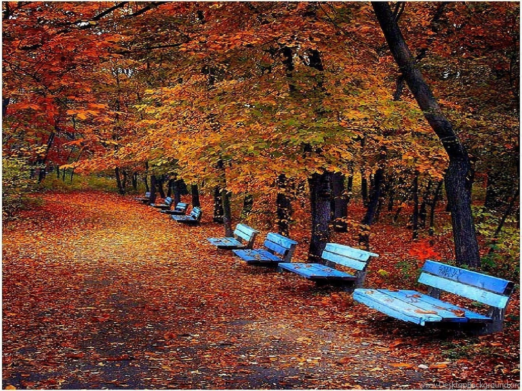 Fall Pictures For Desktop Printable Invitation Download