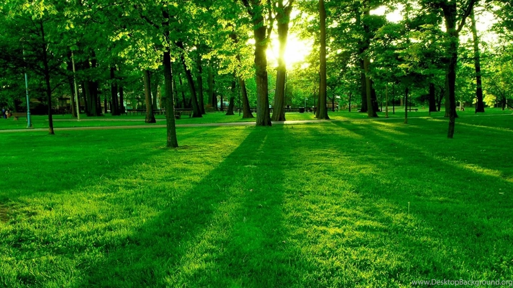 Backgrounds Pictures For Computer Desktop