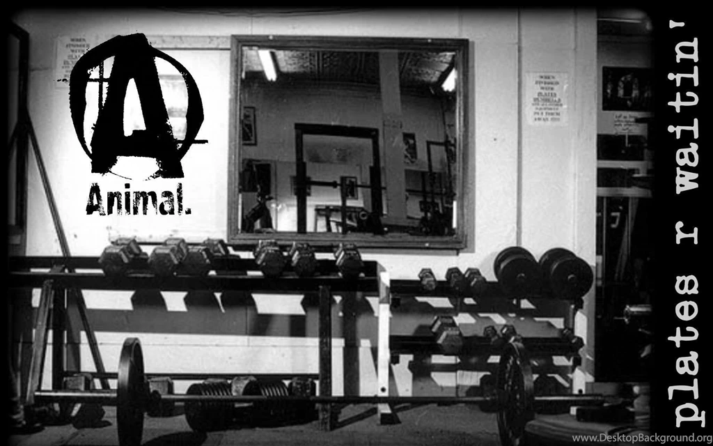 Weight Lifting Wallpapers