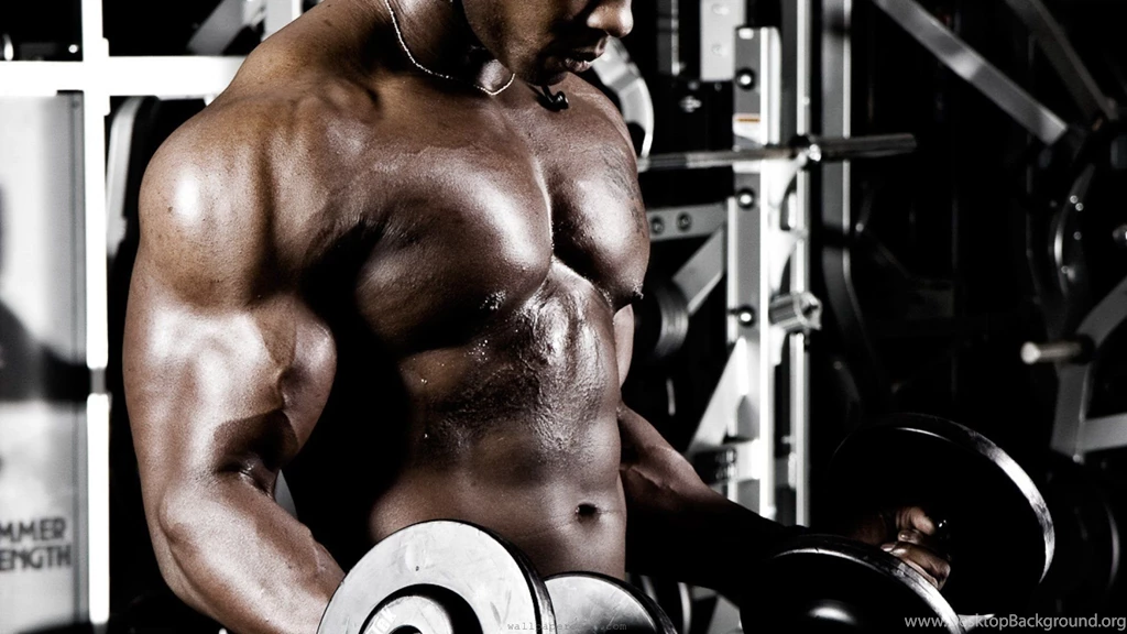 Body building Fitness Muscle Muscles Weight Lifting Bodybuilding ...