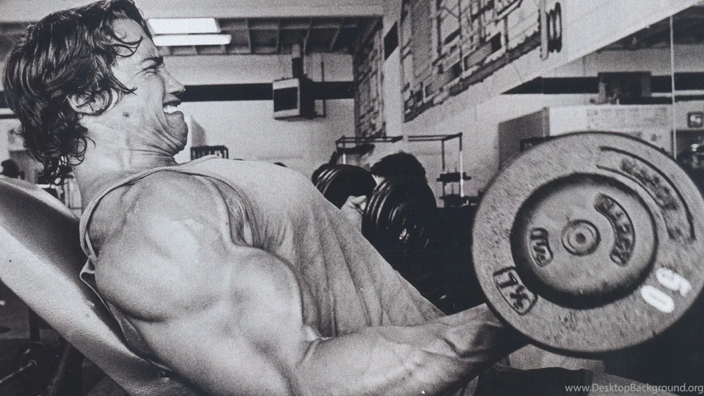 Black And White, Gym, Arnold Schwarzenegger, Muscles, Weight ...