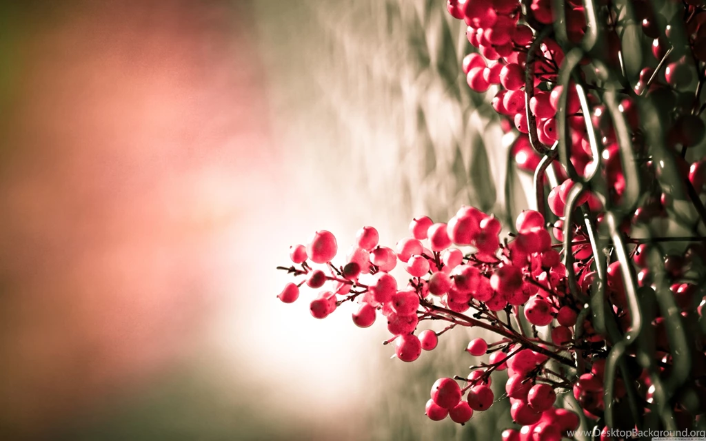 Keep Smile Wallpapers