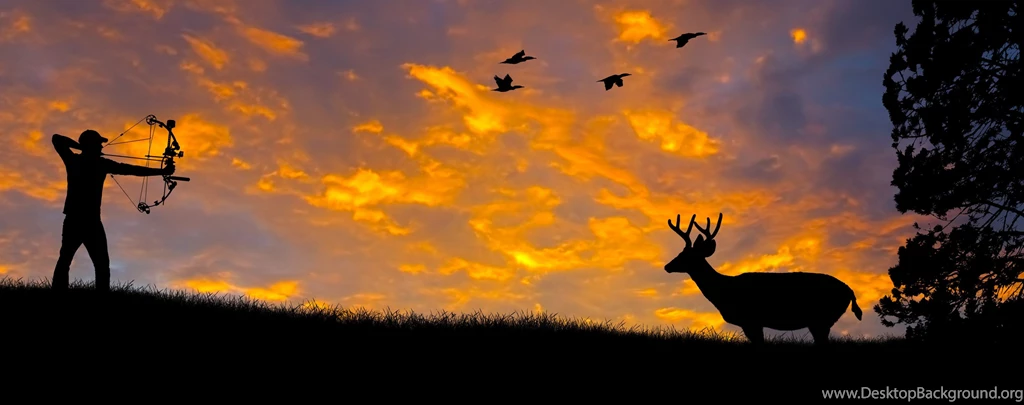 BOW HUNTING Archery Archer Bow Arrow Hunting Weapon Wallpapers ...