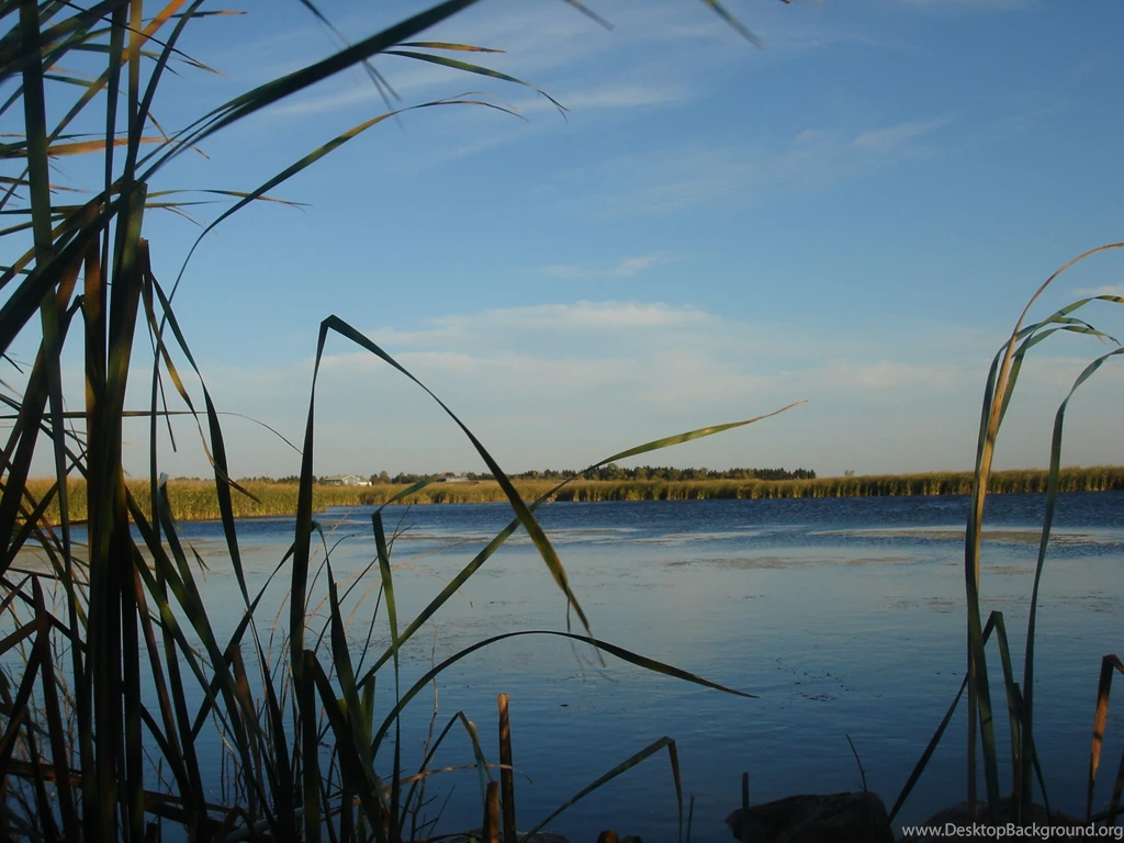 Hunting PC Wallpapers, Backgrounds, Computer Wallpapers