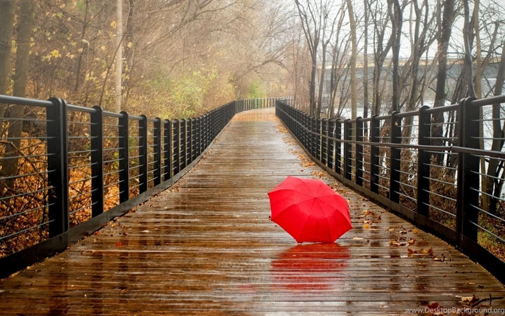 Happy Rainy Day Wallpapers ~ Toptenpack.com