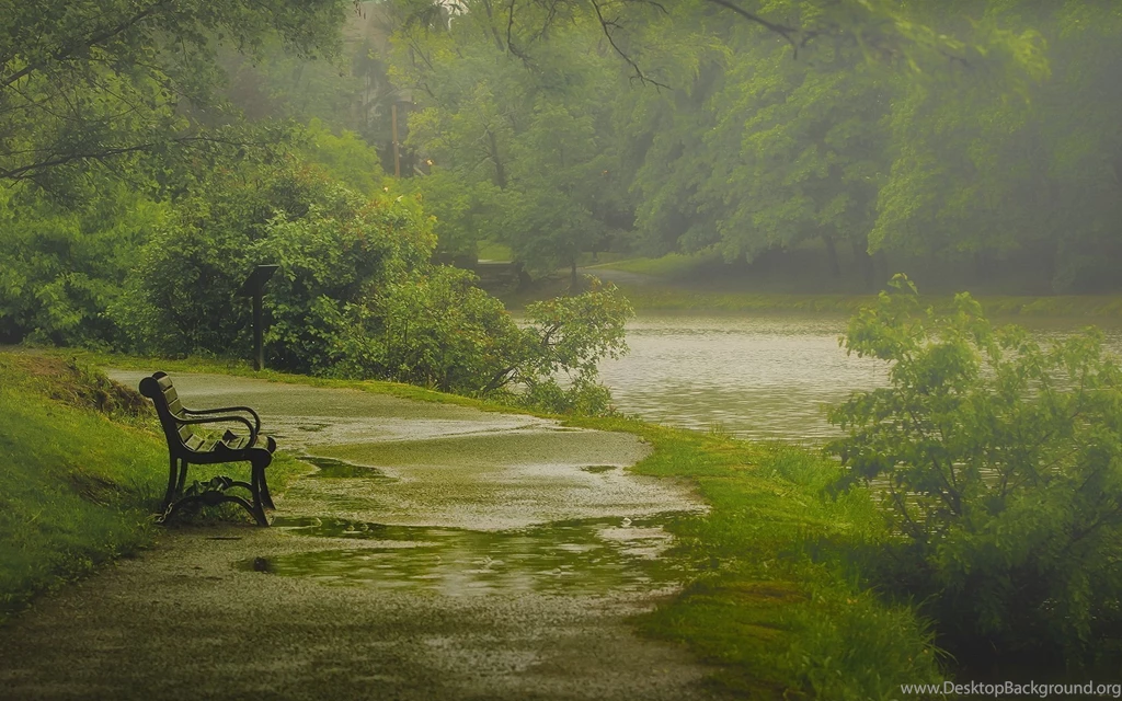 Rain Drops Wallpapers HD