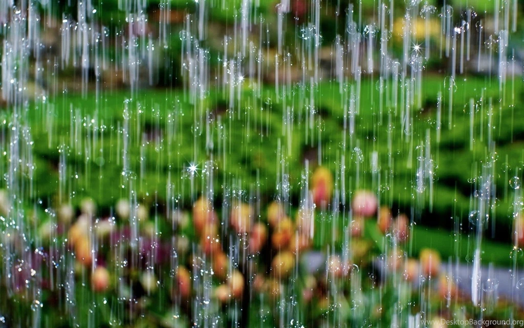 Monsoon Wallpapers