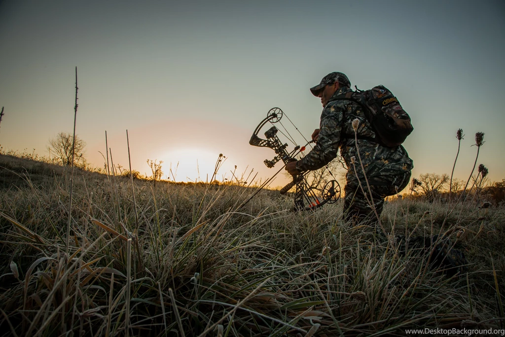 BOW HUNTING Archery Archer Bow Arrow Hunting Weapon Wallpapers ...
