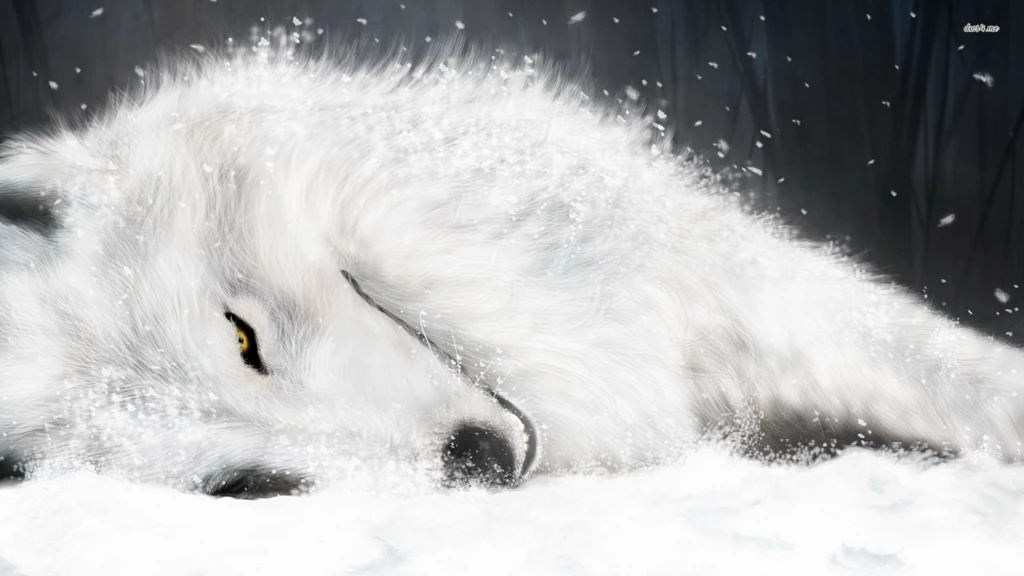 Fallen White Wolf Wallpapers Digital Art Wallpapers