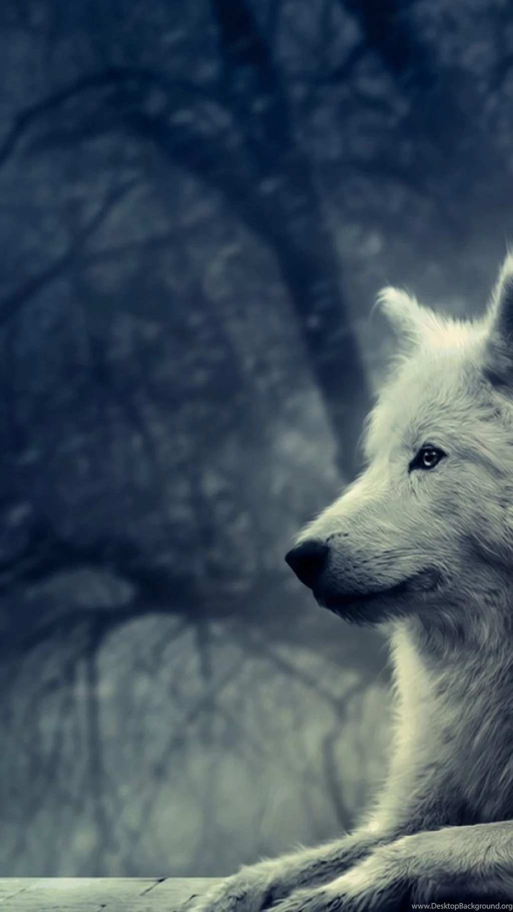 White Wolf S4 Wallpapers