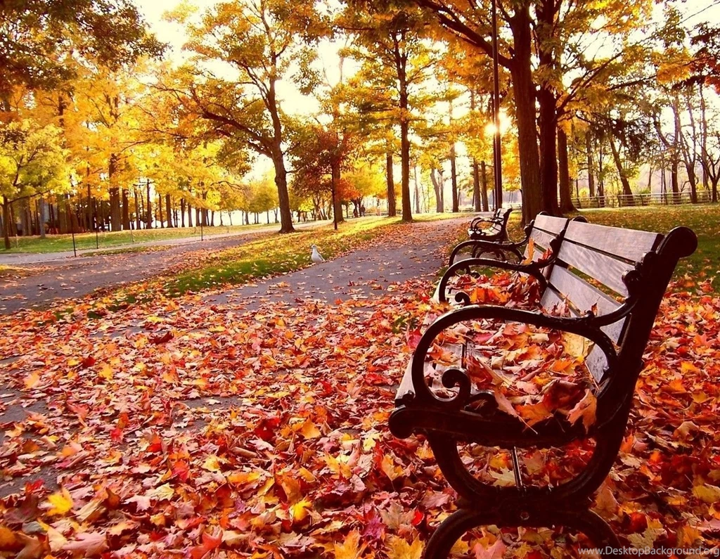 Fall Season Wallpapers For Desktop