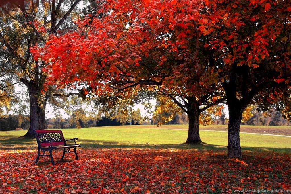 Fall Backgrounds Desktop