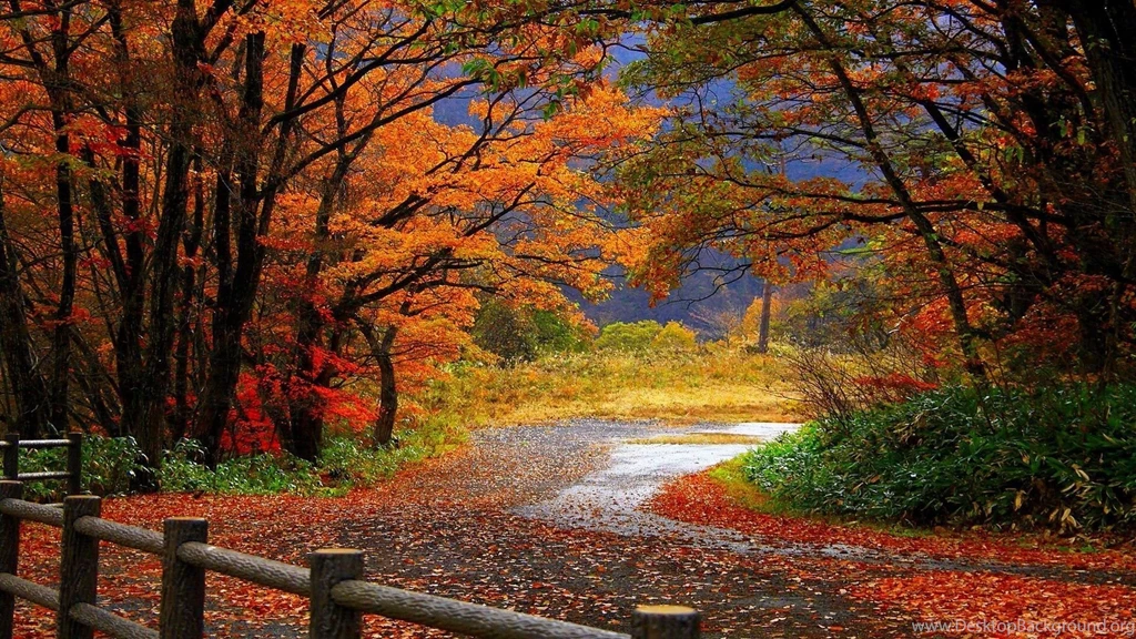 Fall Computer Wallpapers, Desktop Backgrounds
