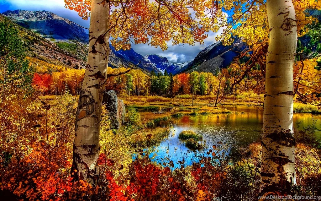 Autumn Scenes Wallpapers 665782
