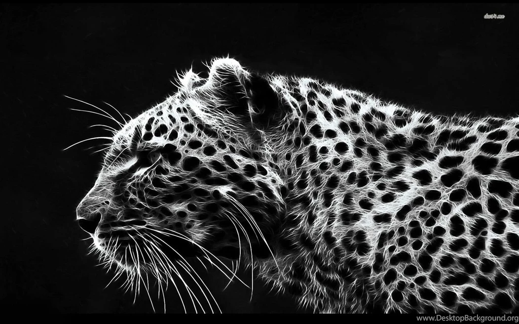 Leopard Wallpapers Digital Art Wallpapers