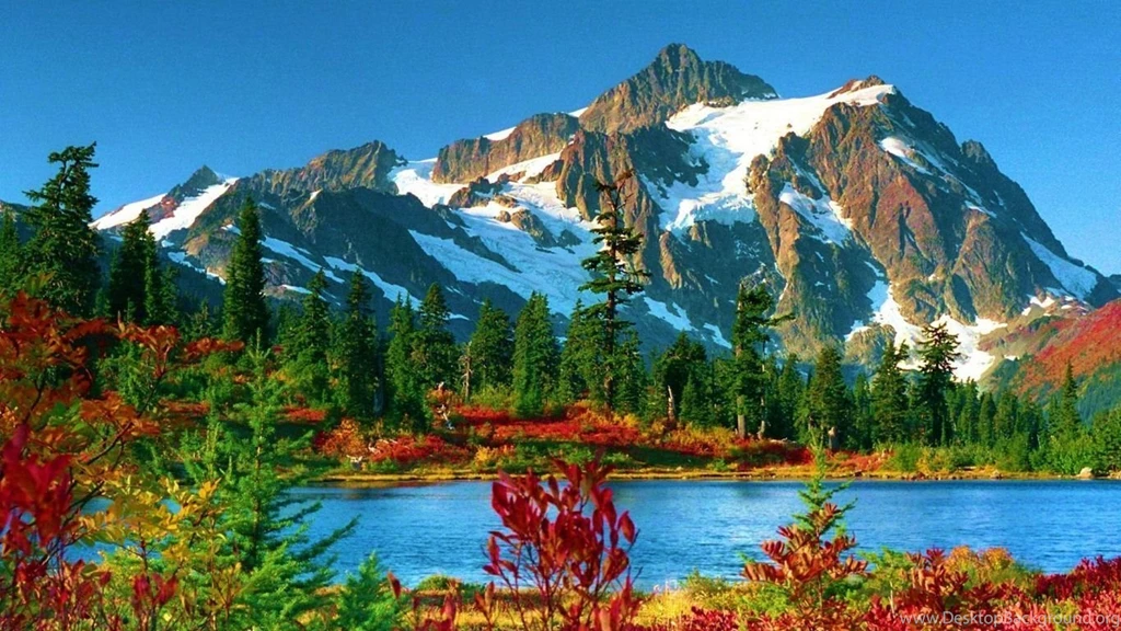 Magnificent! Computer Wallpapers, Desktop Backgrounds
