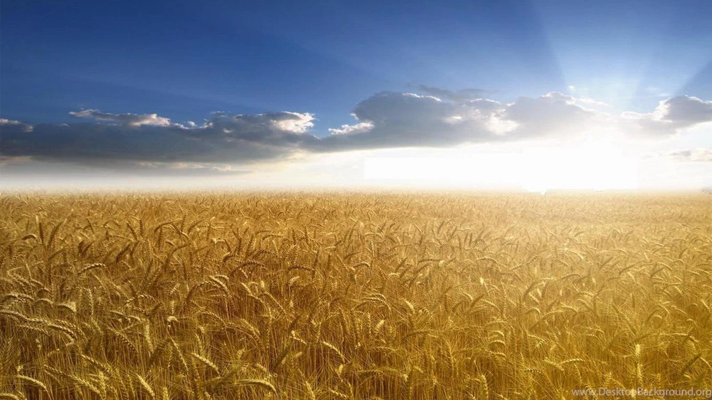 14 Desktop Wallpapers 1366x768:Best Wallpapers HD