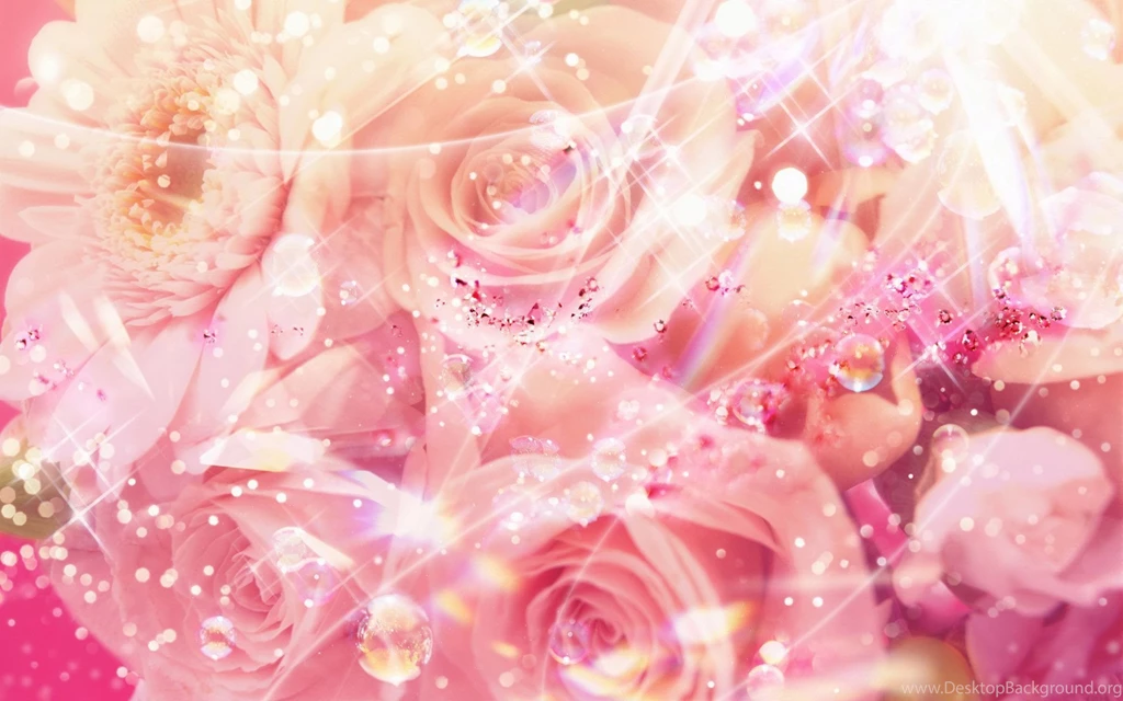 Flower Wallpaper Backgrounds Desktop Backgrounds
