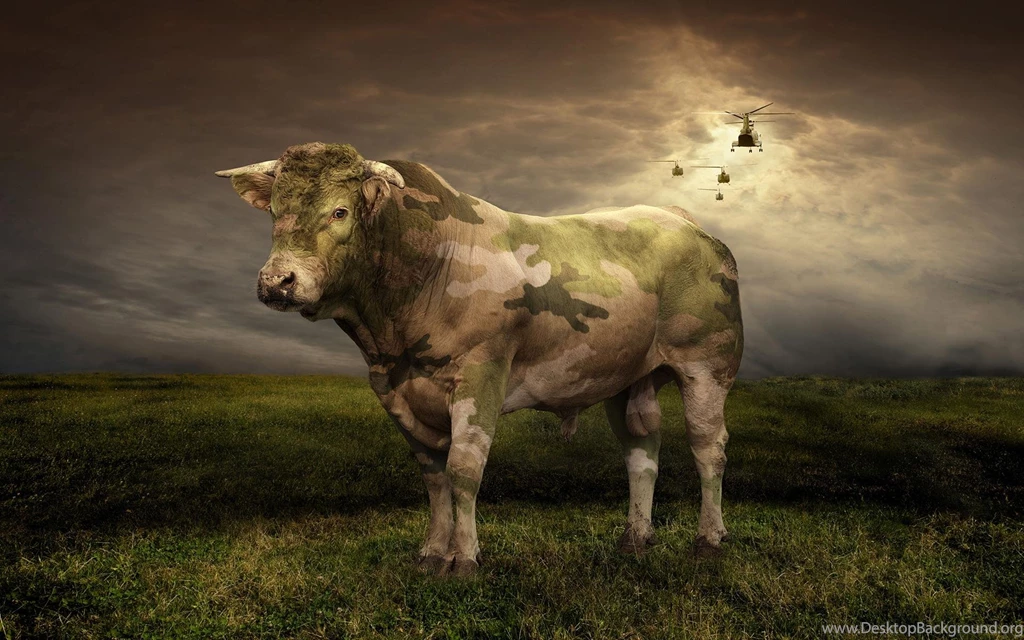 Camouflage Bull >> HD Wallpaper, Get It Now!