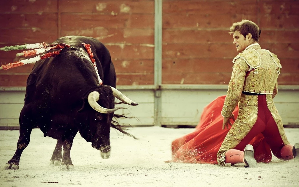 Bull Wallpapers