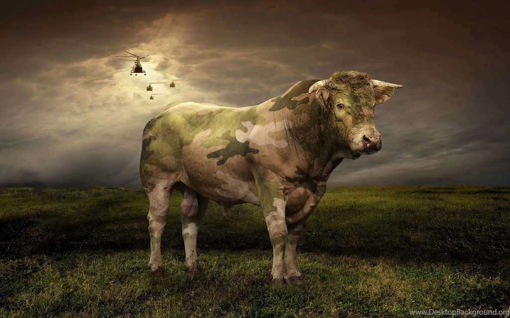 Camouflage Wallpapers Full HD Wallpapers Search