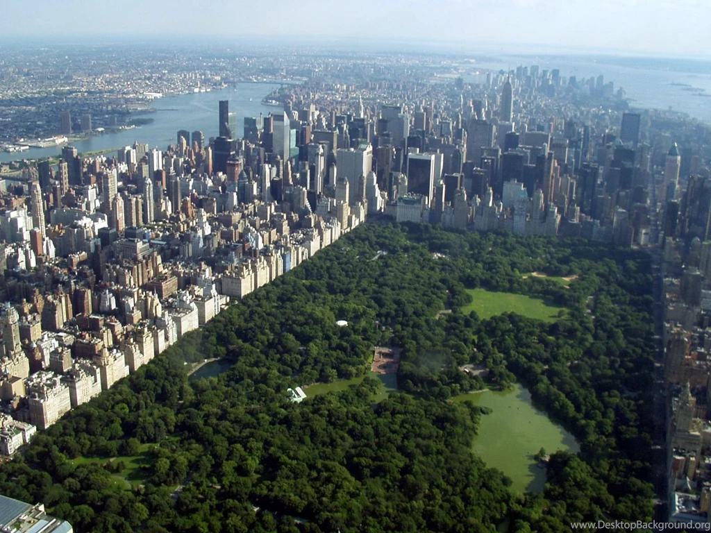 New York Park Wallpaper.jpg