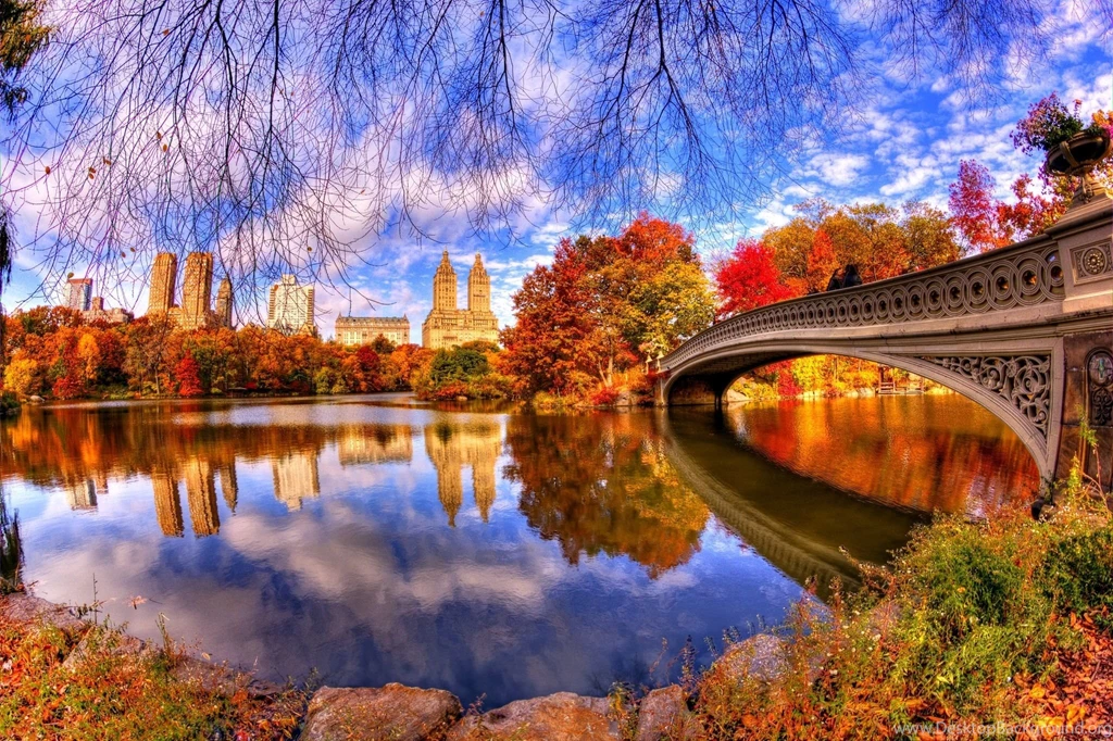 Central Park With Blue Sky And Its Image On River Surface