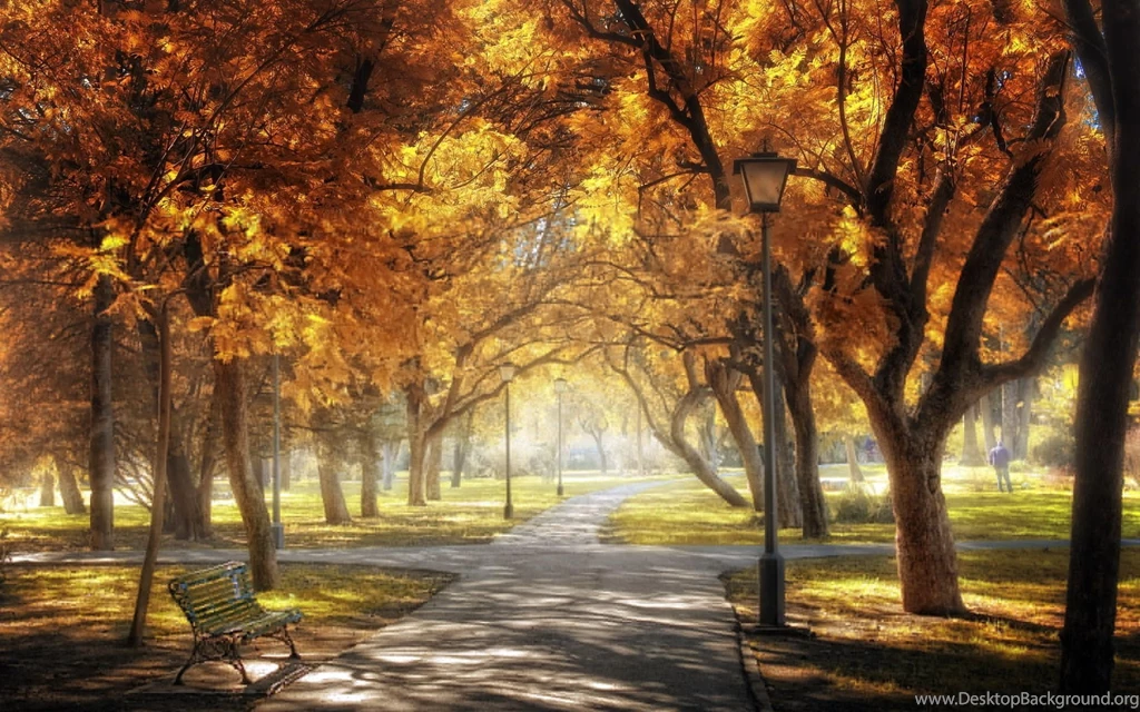 Central Park Manhattan New York Wallpapers