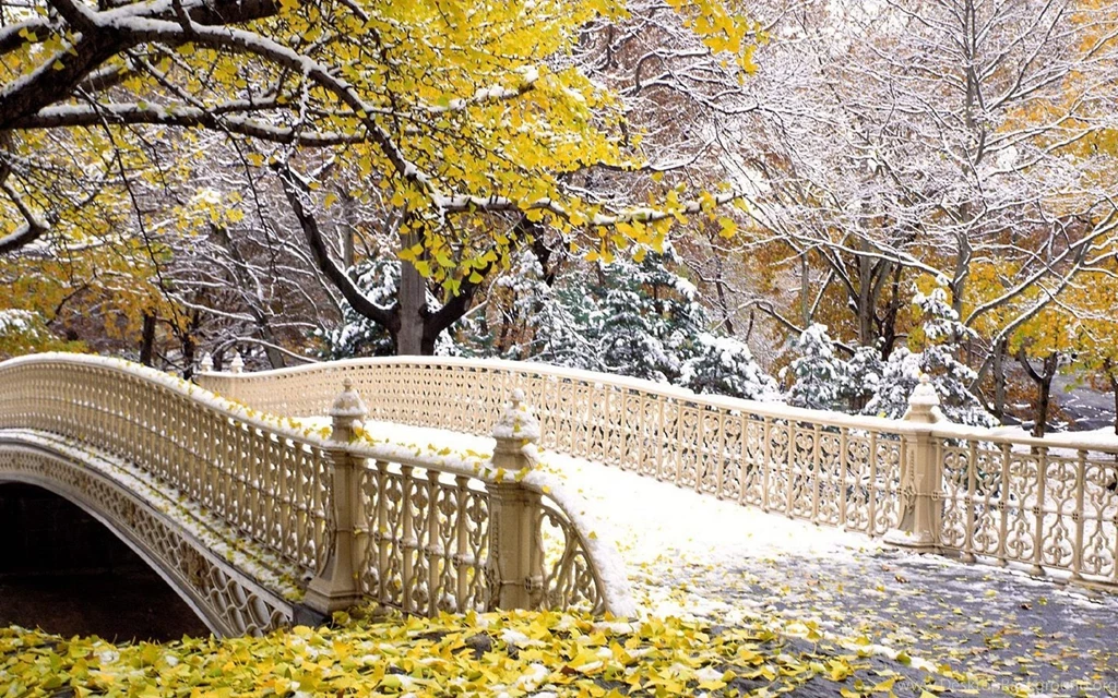 Central Park Central Park Wallpapers (32583915) Fanpop