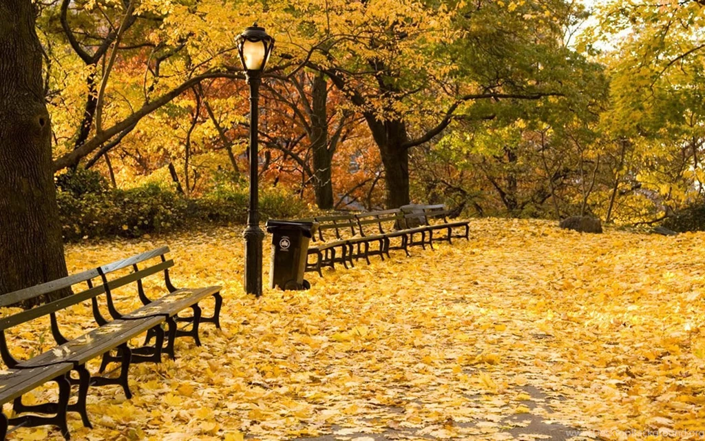 New York Central Park Autumn Wallpaper.jpg