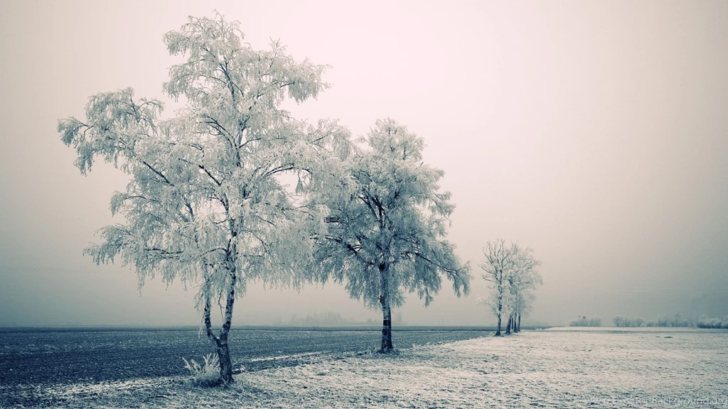 Hd Winter Wallpapers 130904