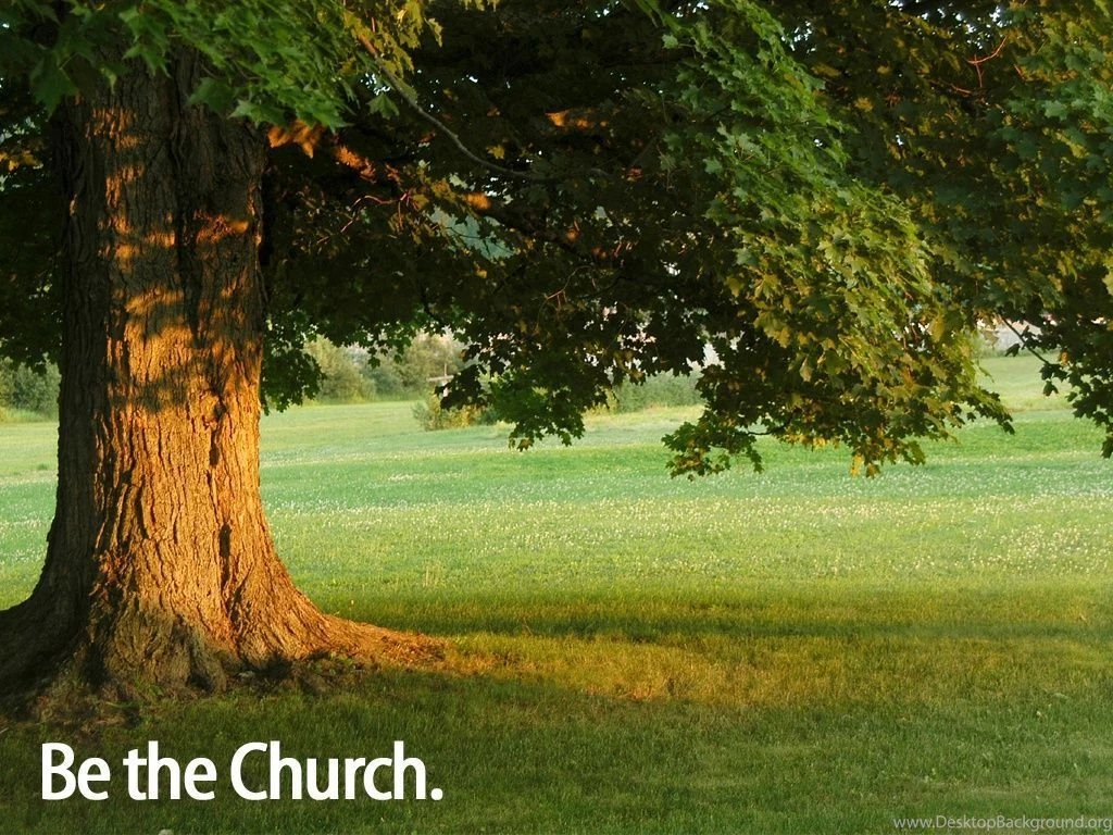 Be the church  the tree_2270_1024x768.jpg
