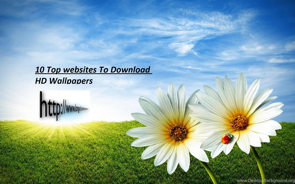 Top 10 Free HD Wallpapers Websites 2015